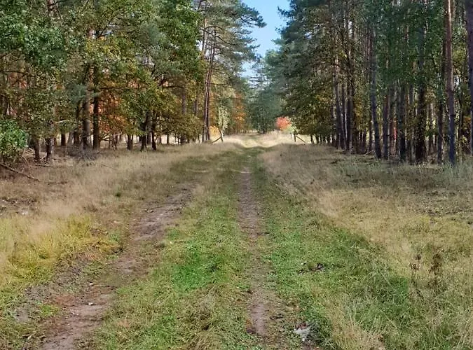 Am Burggraben Сasa de vacaciones
